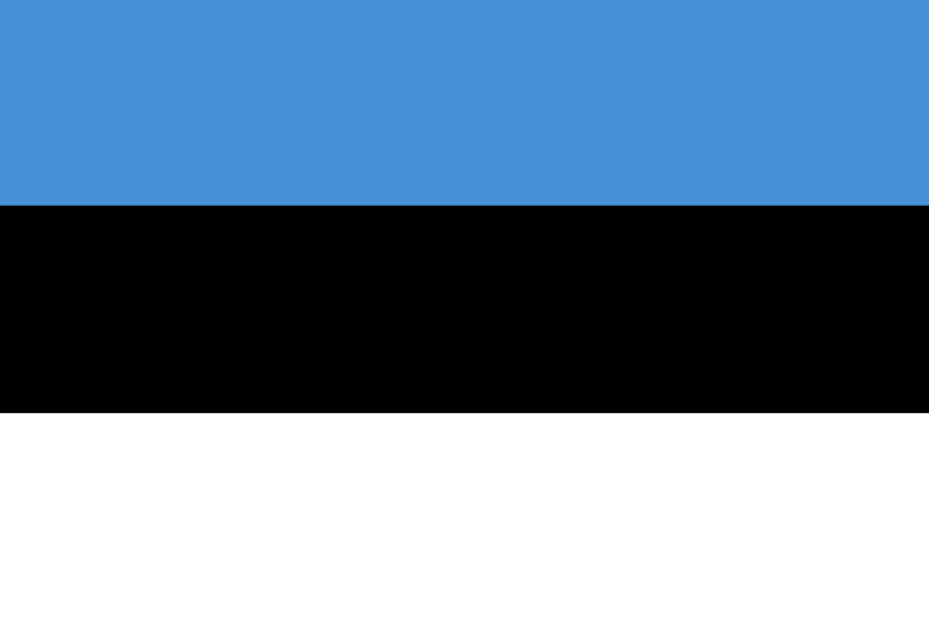 Estonia Flag Black Leather Keyring estonian tallinn baltic europe maarahvas NEW 