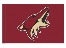 Arizona Coyotes športová vlajka s tunelom