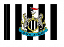 Newcastle športová vlajka s tunelom